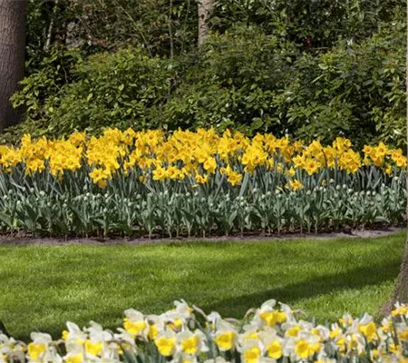 Das richtige Blumenbeet für den eigenen Garten