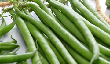 Zum Vergrößern klicken Bildvorschau