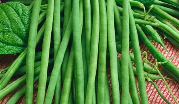 Zum Vergrößern klicken Bildvorschau